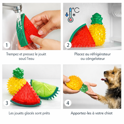 Jouet rafraîchissant congelable pour chiens