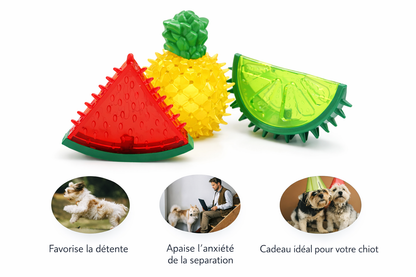 Jouet rafraîchissant congelable pour chiens