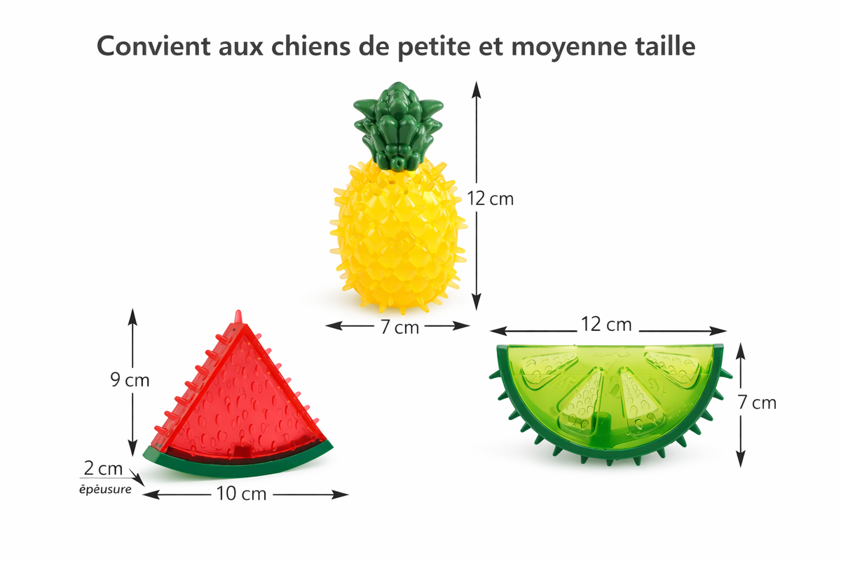 Jouet rafraîchissant congelable pour chiens