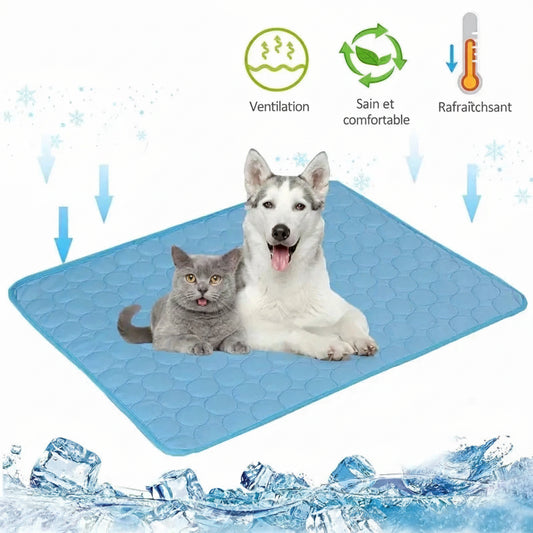 FreshPaw™ - Le Tapis Rafraîchissant Autorégulant pour Animaux